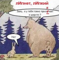 На Аляске медведь гризли напал на машину с туристами
