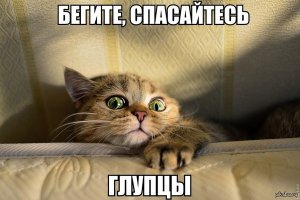 В Краснодаре в многоэтажке выдавливает кирпичи на балконе!