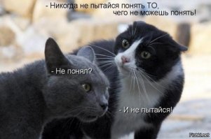 Женская логика