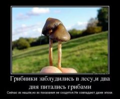 Как не заблудиться в лесу. И что делать, если это случилось