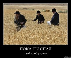 Чем удивит cтавропольская "соломенная" бахча ?