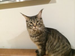 Кто тебе рассказал???!!!!