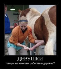 Ветеринар это не только кошечки в частной клинике, но и стада коров, свиней в колхозе, а так да профессия хорошая все мажорики стоят в очереди на ветеринарный факультет.