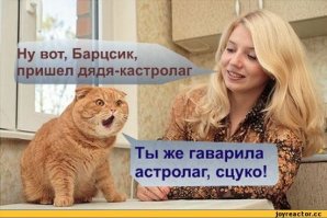 20 фото-доказательств того, что ветеринар - замечательная профессия
