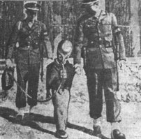 15 образцов немецкого "чудо-оружия" времен Второй мировой войны