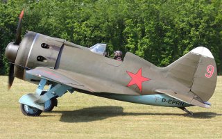 А не смущает что И-16(Ишак) - моноплан, а И-153(Чайка) - биплан?