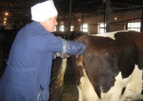 А теперь немного живой реальности: