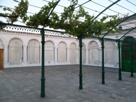 Караимская улица в Евпатории, очень специфична - большинство домов не имеют окон на улицу - только во двор. Там же находятся караимские кенасы. А караимы в силу своей малочисленности не подлежат обязательному призыву в армию.