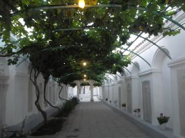 Караимская улица в Евпатории, очень специфична - большинство домов не имеют окон на улицу - только во двор. Там же находятся караимские кенасы. А караимы в силу своей малочисленности не подлежат обязательному призыву в армию.