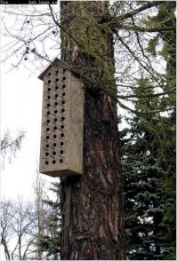 Социальное жилье в Гонконге