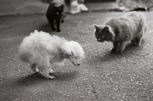 Похоже Эми сейчас гайки.