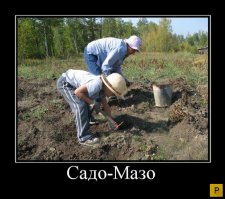 Прикольные идеи для дачи и сада