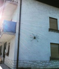 надеюсь, он не настоящий?