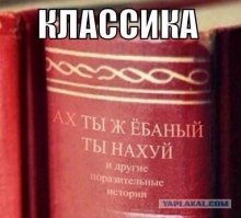 "Вы что, на шаре живёте? Вы живёте на плоскости!", или Как блоггер-семиклассник взорвал интернет