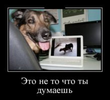 Свежая подборка демотиваторов, которые поднимут вам настроение