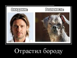 О том, что моя девушка видит этот мир совсем по-другому