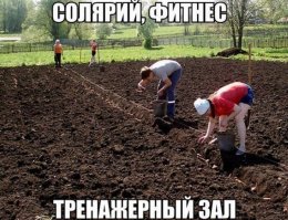 Прикольные идеи для дачи и сада