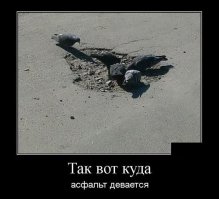 Дорожное прикрытие