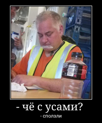 20 примеров буквального выполнения парикмахерами капризов своих клиентов