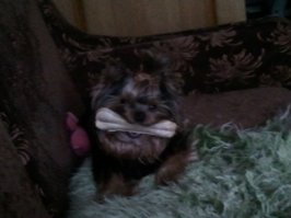 Ты - не ты, если голоден