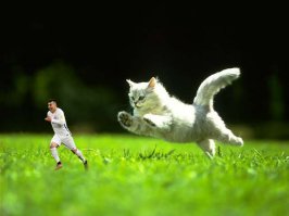 А я вот так сделал