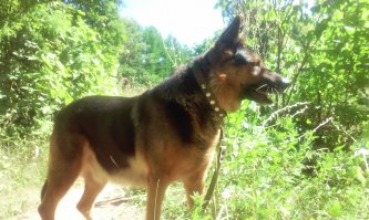 Зидан, 10 лет.