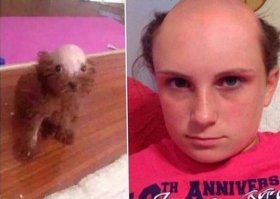 Какую только легенду не придумывали к этому фотошопу: и случайное мытьё головы кремом для депиляции, теперь вот мутная история с собакой.