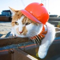 Почему лишь бы чё? Есть такой котик, "курирует" Керченский мост.