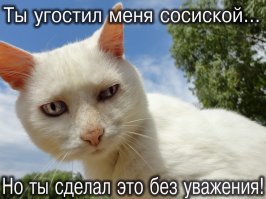 Кто тут - мафия?!