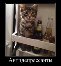 Котёнок помогает пожарным справляться со стрессом после тяжёлых вызовов