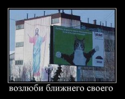 Самые необычные котики на планете