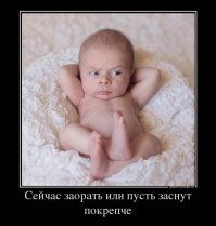 кажись президент