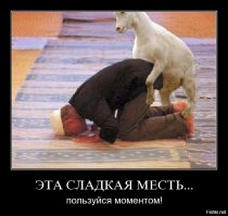 Рогатый вандал надругался над парадной дверью офиса  