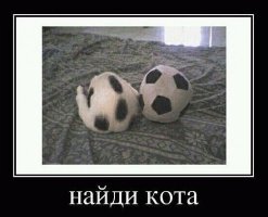 Людей тоже можно убрать, коты вполне самодостаточны)