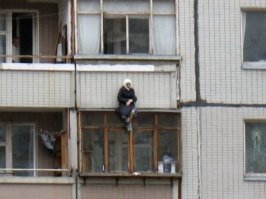 Как она там держится, на уме единственное объяснения, примерзла. Но как она туда вылезла то?