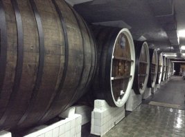 Странно написано Дионис, а вот мое фото с Массандры, две недели назад