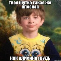 "Вы что, на шаре живёте? Вы живёте на плоскости!", или Как блоггер-семиклассник взорвал интернет