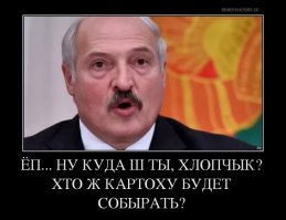 Сказочный... белорусский прыгун с детских горок в Турции