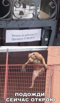 Ой блин, это жизненно))) У меня бабуля слышит плохо, а комната дальняя у неё.Если приеду в гости к родным, а дома только бабушка - стою и через дверь уговариваю собаку гавкать, чтобы бабушка услышала))) А когда слышу что идет - даю команду, чтобы упокоить - чтобы бабушка подошла к двери и тушка под ногами не мешала)))