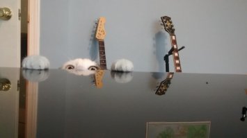 ))
неплохо с утреца.