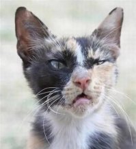 С какого раЁна будешь?