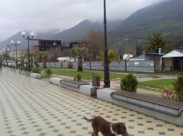 Посетил Гагры  прошлой весной. Понятно не сезон. Но это ж море! Из отеля в Сочи доехал на автобусе до границы, перешел и первым делом встретился с не совсем адекватными водителями маршруток. Ну ладно, поехали. Дороги после российских в Сочи воспринимаются как убитые. Теперь Гагры. На набережной пусто, рядом остов сгоревшего кабака или ещё что там было. Разруха. Чудом нашел кафе, где покормили. Даже дежурный магнитик и то купить не удалось. В Сочи возвращался с удовольствием. Да, смешно, но на обратном пути на границе обнаружил самый настоящий Duty Free. Немного подзатарился.