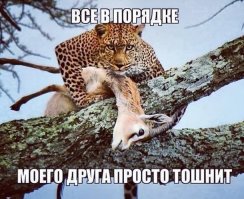 Как храбрый пес олененка спас