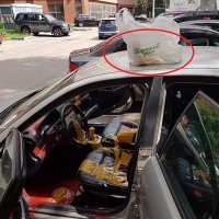 Надпись на пакете прям в ТЕМУ!