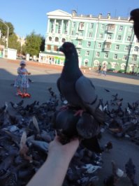 Знакомое место! Это Алтайский край, г. Барнаул, ост. Россия))