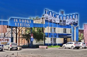 Австралийские ветеринары с помощью водки спасли отравившуюся антифризом бездомную кошку 