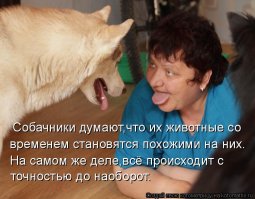 Собака загрызла кошку на глазах у детей