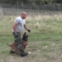 Блин как!??! XD

Афигенно, мужик будто к себе привязал собакена.