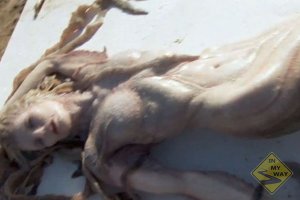 Удивительные находки, обнаруженные на пляжах