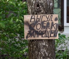 Намекать правильно - это искусство